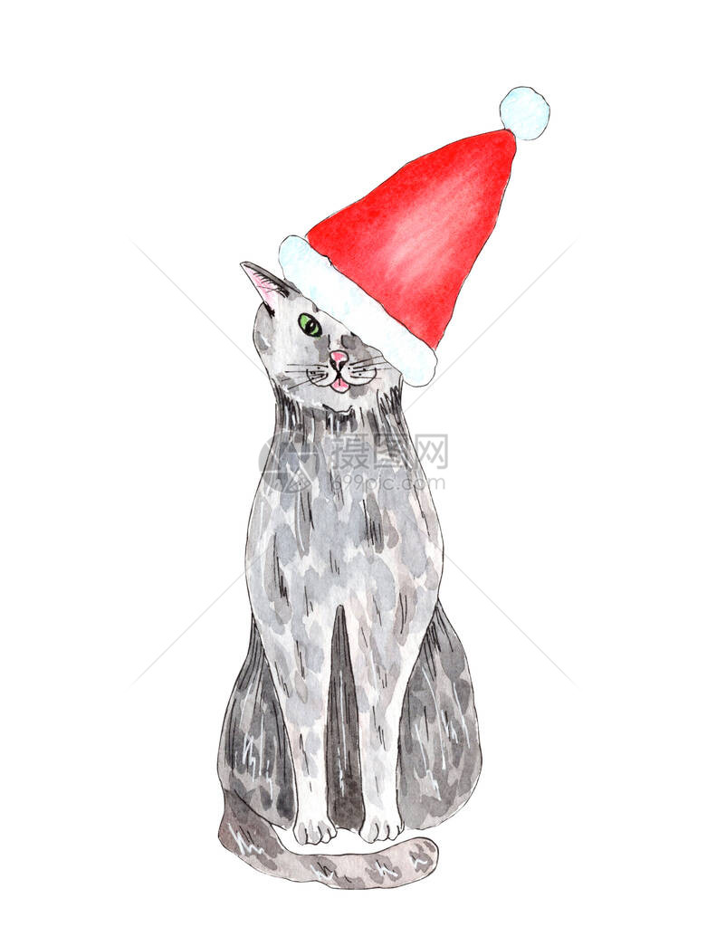 手画水彩色水彩的圣诞猫在白色背景上被孤立适合圣诞节卡图片