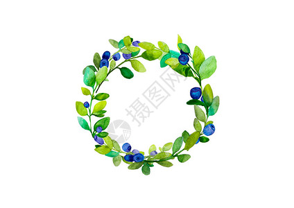 蓝莓树枝的圆形框架图片