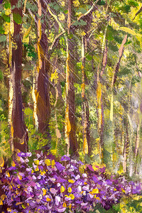 森林公园和花朵中的夏季树木景观图片