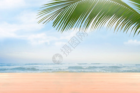 带有软焦点棕榈和夏季海滩背景的空白图片