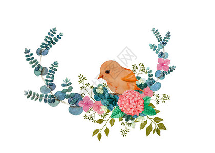 鲜花束和鸟的水彩手绘插图图片