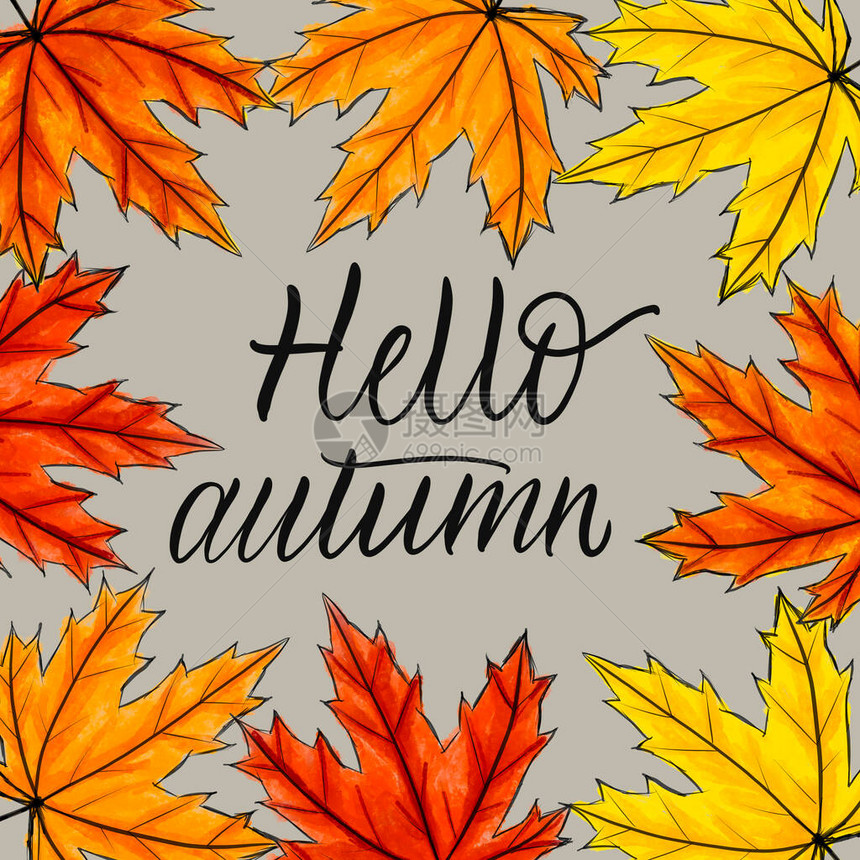 手写的黑色书法题词你好秋天被黄色橙色和红色的枫叶包围在秋天的落叶中间手写刻字灰色的明信片图片