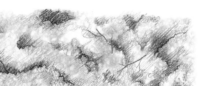黑白单色树自然铅笔素描图片