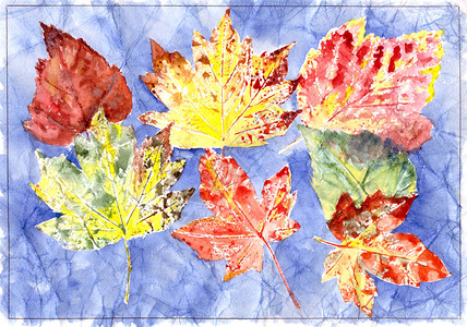 蓝色背景的秋水颜色叶子图片