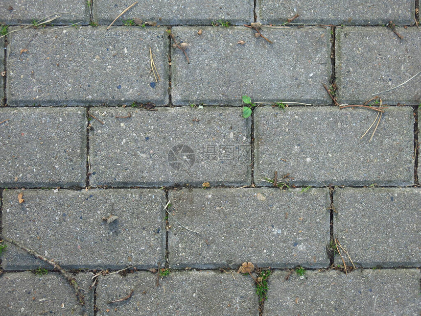 灰色长方形瓷砖铺有秋叶的石头图片
