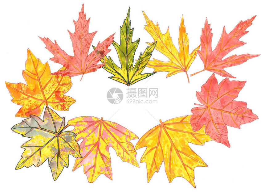 秋季黄色橙绿树叶框架图片