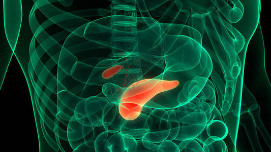 Gallbladder解剖术图片