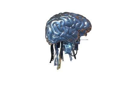 机器人脑器官图片