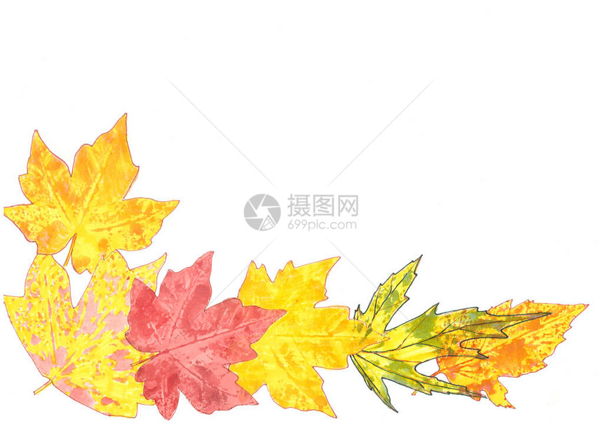 秋天黄色橙绿树叶底半边框图片