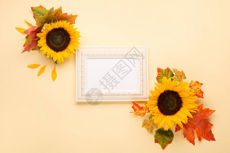 秋季花卉框架图片