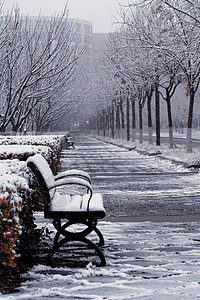 简约小寒雪后的街道背景