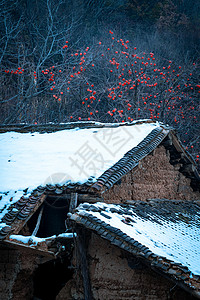 雪后古村落中的柿子树背景图片