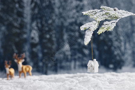 雪地背景冬日静物图片