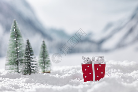 圣诞系列雪地背景冬日静物背景