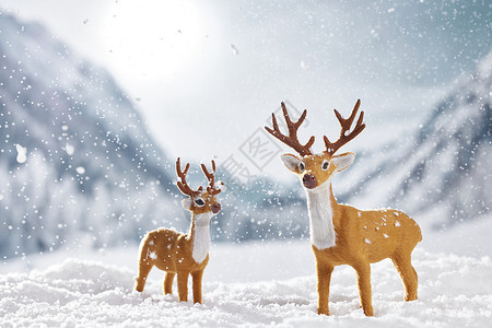 雪地上的麋鹿图片