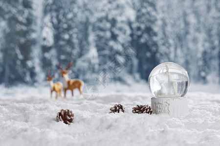 冬季圣诞水晶球静物背景图片