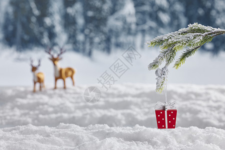 冬季圣诞礼物静物背景图片