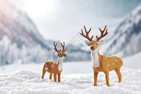 雪地麋鹿装饰画冬季雪地上的麋鹿背景