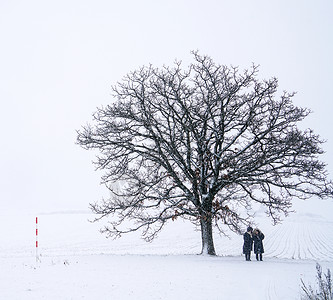 冬季树下情侣背景图片