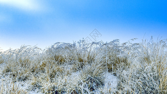 内蒙古冬季蓝天蒿草芦苇雪景图片