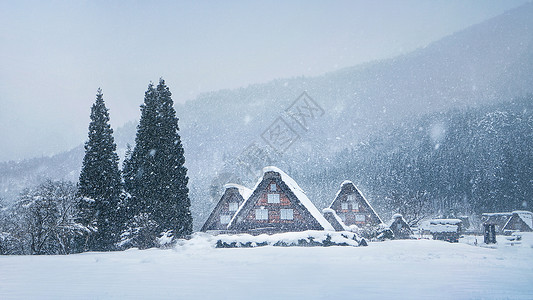 白川村日本山村村庄冬季雪景森林背景