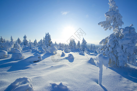 冬天芬兰的空气还有很多雪图片
