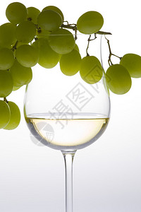 酒杯配白葡萄酒和葡萄图片