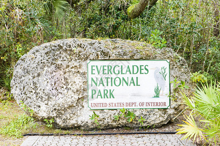 美国佛罗里达Everglades图片