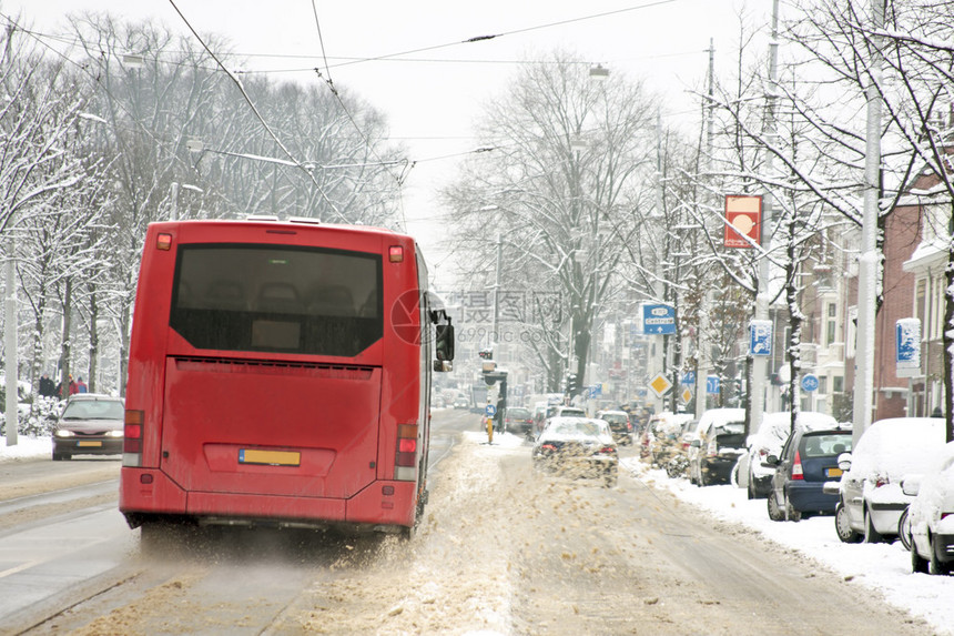 荷兰雪暴中的雪花图片