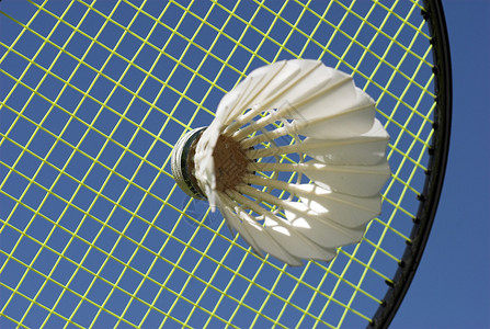 羽毛球拍和羽毛球特写和天蓝色背景图片