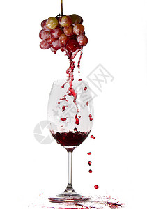 生产葡萄酒图片