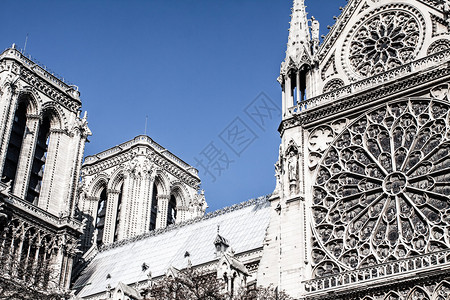 法国巴黎法国和欧洲大教堂圣母大教堂人类发展图片