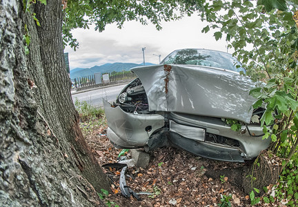 汽车撞到一棵大树道路事故图片