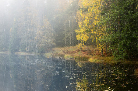 浓雾中的秋河景图片