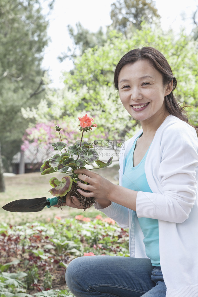 女人种花的肖像图片