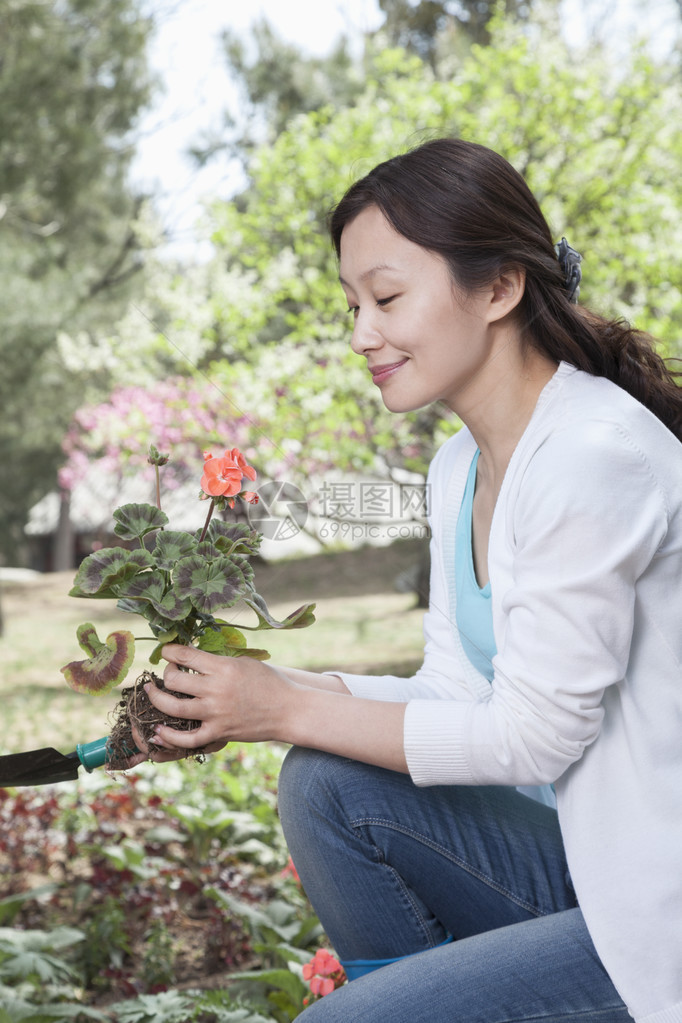 种花的女人图片