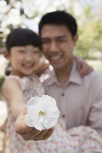 春天女儿和父亲在公园里拿着樱花靠近相机图片
