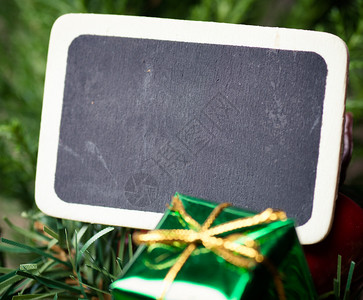 在fir树背景上用小木制黑板图片