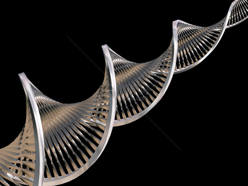 金属DNA链图片