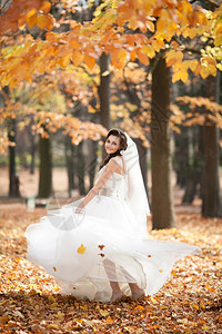 秋天公园里的新娘图片