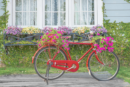 老式花园自行车图片