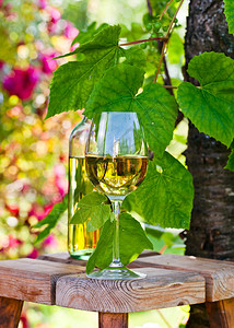 瓶和玻璃与葡萄园的白葡萄酒图片