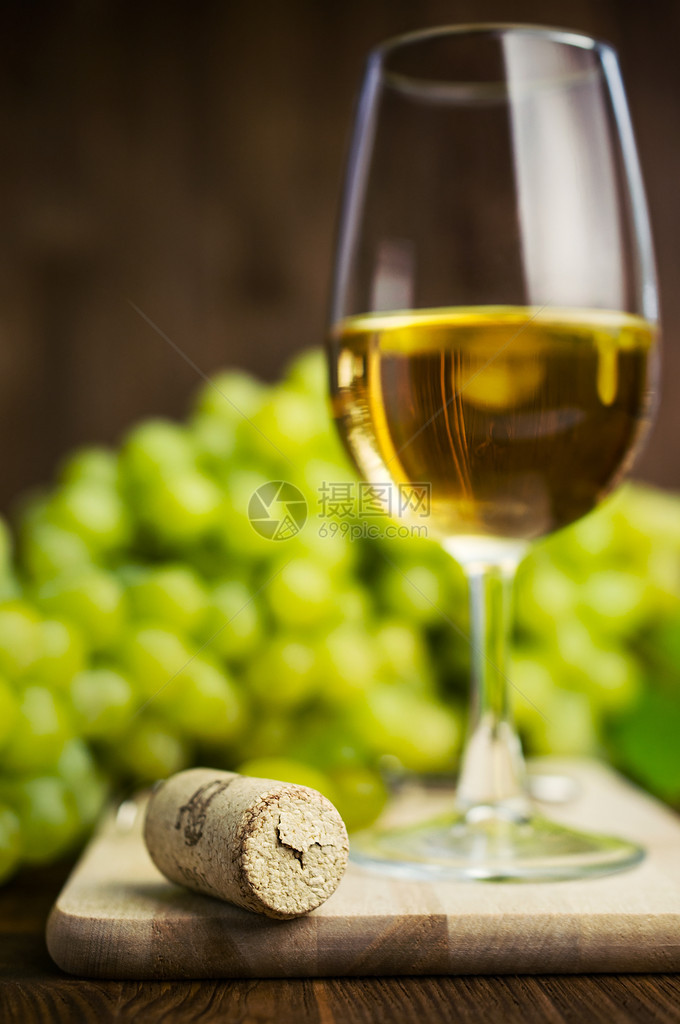 酒杯中的白葡萄酒有藤树在木图片
