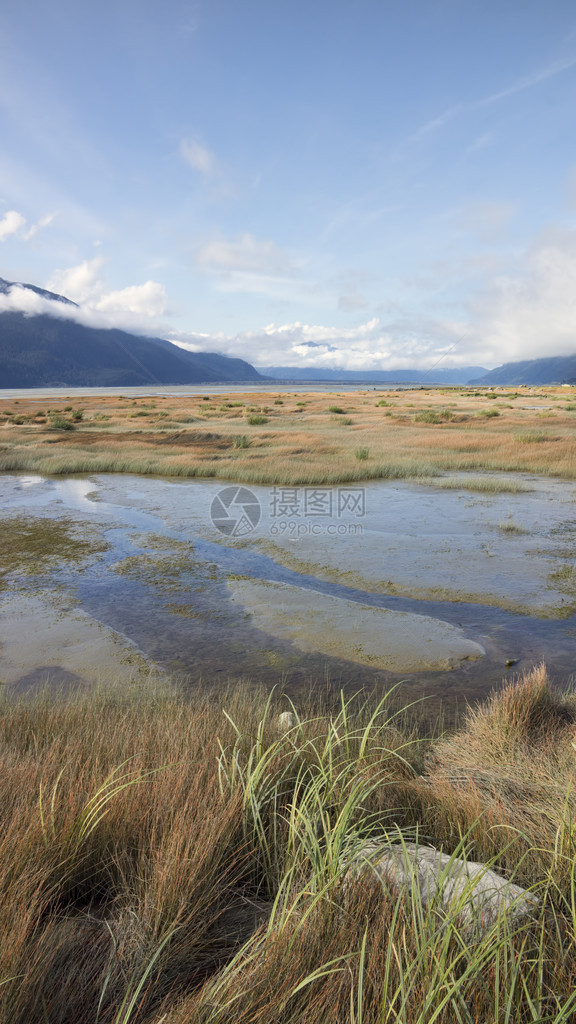 海因斯阿拉斯加附近的ChilkatEstuary河沿岸潮图片