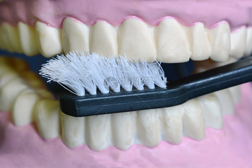 检查牙齿保健牙科护理和牙医的相片图片