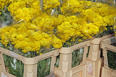 大花市批发花店出售的一束鲜花图片