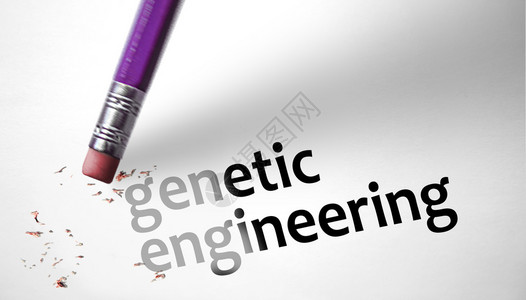 Eraser删除遗传工程概念的图片