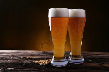 两杯啤酒小麦在棕图片