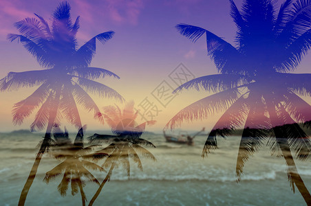 沙滩上的椰子树剪影图片