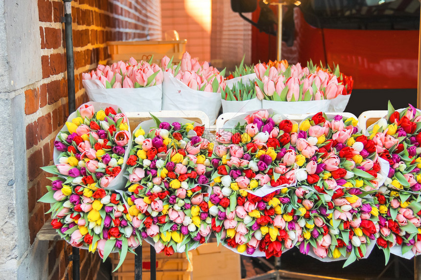 在荷兰市场销售郁金香图片